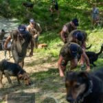 Shepherds' Shemozzle Competitors scramble up a muddy bank with their dogs during the mud slide obstacle of the race.